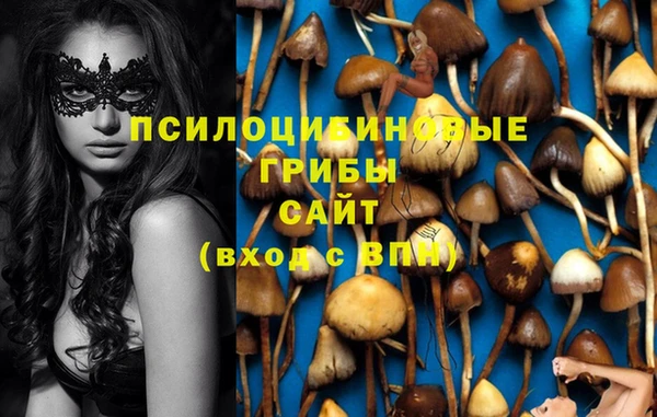 дурь Арсеньев