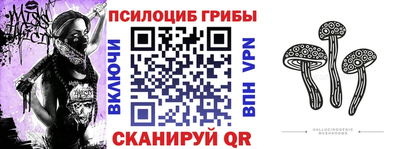 Галлюциногенные грибы GOLDEN TEACHER  блэк спрут ССЫЛКА  Калач-на-Дону  где купить наркоту 